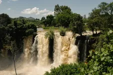 A waterfall in a tropical environment