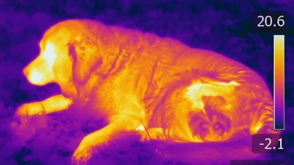 Infrared photo taken during the experiment 