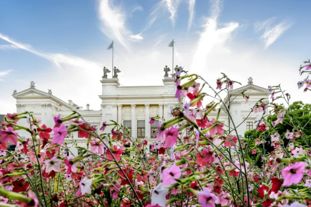 universitetshuset