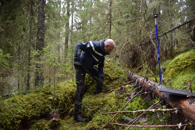 Researcher digging a hole in a forest