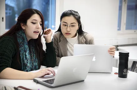 Students studying with their laptops. Photo.