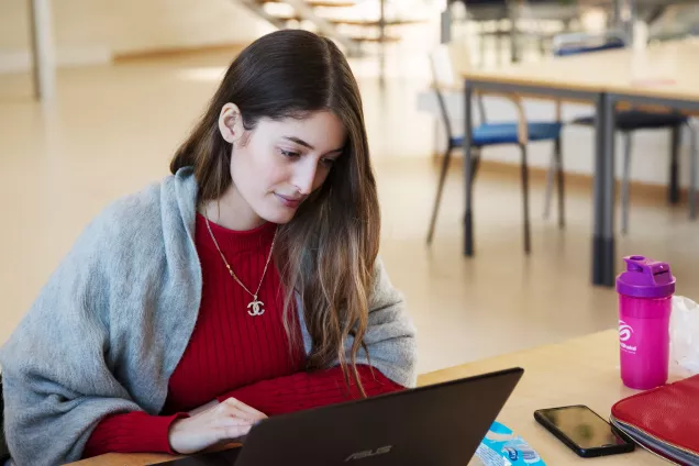 A student looking at a laptop at Campus Helsingborg