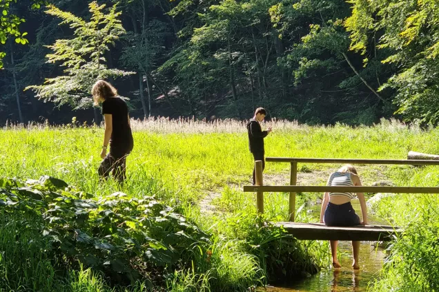 Students standing or sitting in a bright green field. Photo: Chelsea Ann Connell.