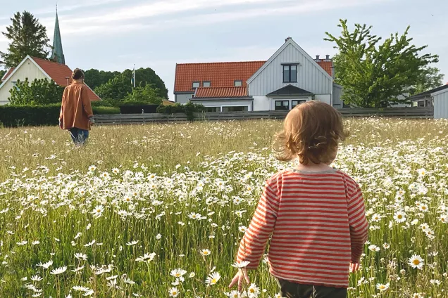 A boy in a field of wild flowers. Photo.