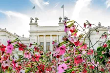 Pink flowers in front of the Main University Building. Photo: Kennet Ruona.