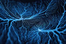 Neuron cells system disease - 3d rendered image of Neuron cell network on black background. Photo: iStock