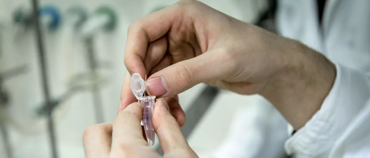 Hands holding a test tube during a lab session