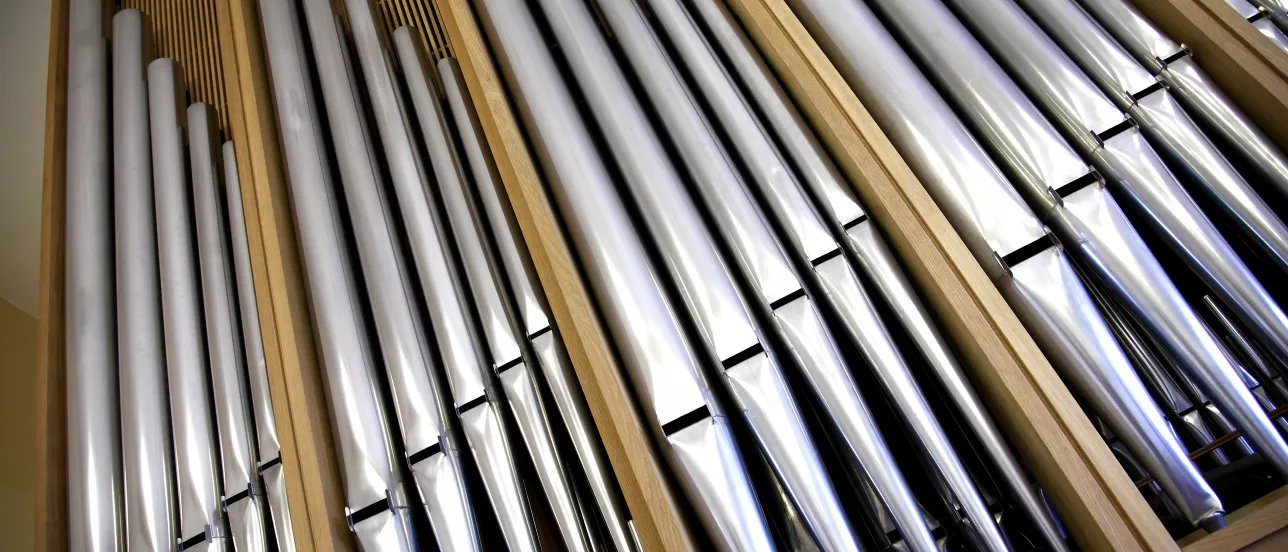 Organ pipes