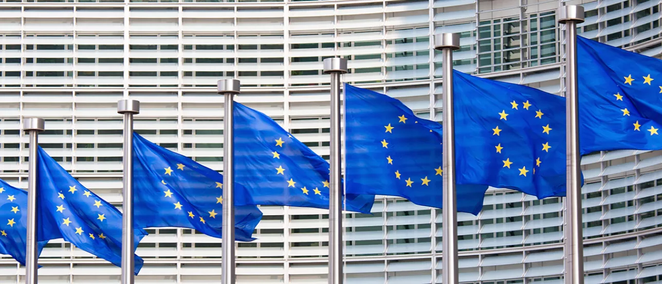 European Flags at the European Parliament