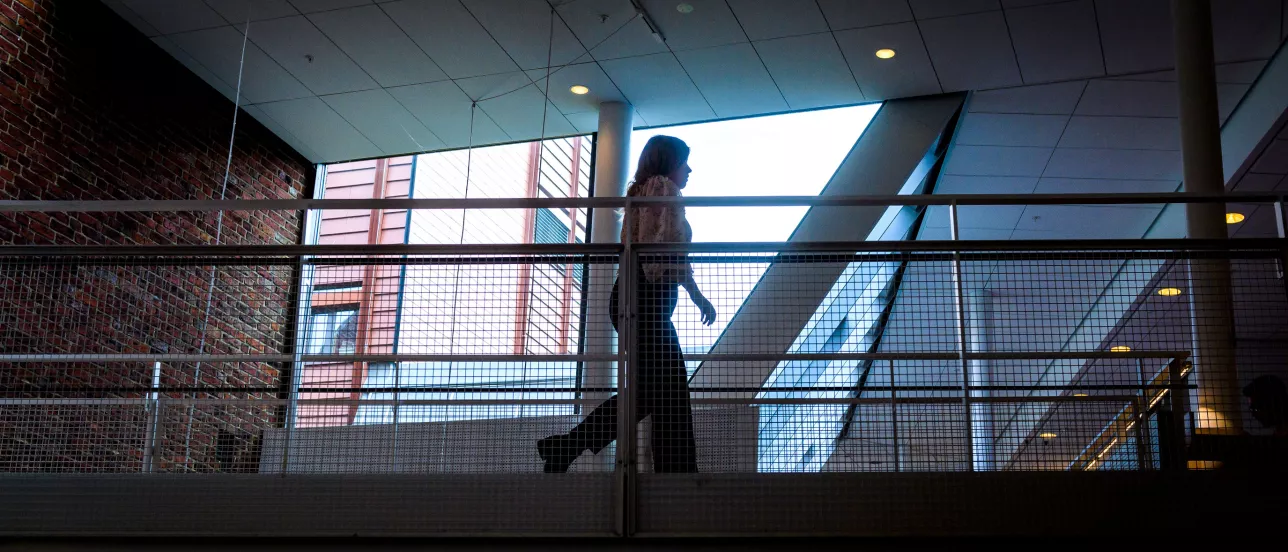 Someone crossing a bridge inside a building