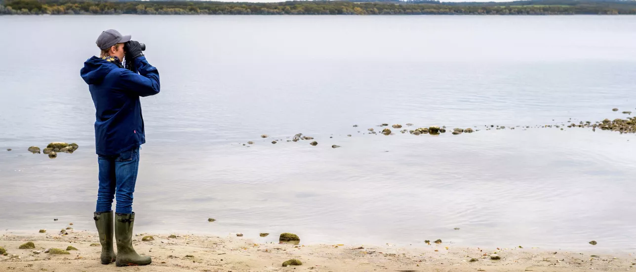 A student with binoculars looking out over a lake