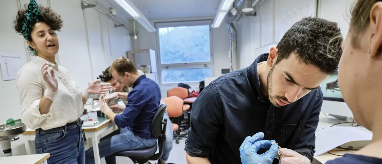 Students working in a lab. Photo.