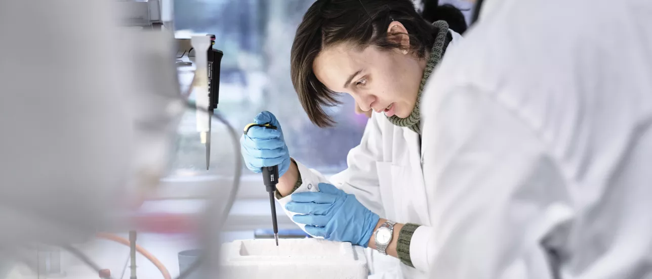 Students working in a lab. Photo.