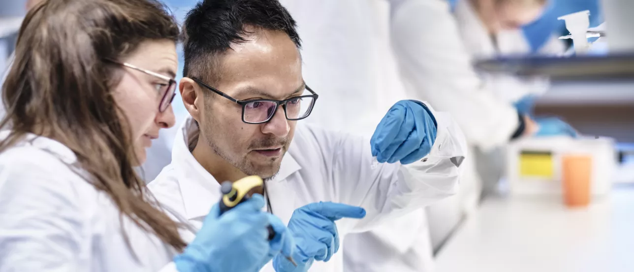 Students working in a lab. Photo.