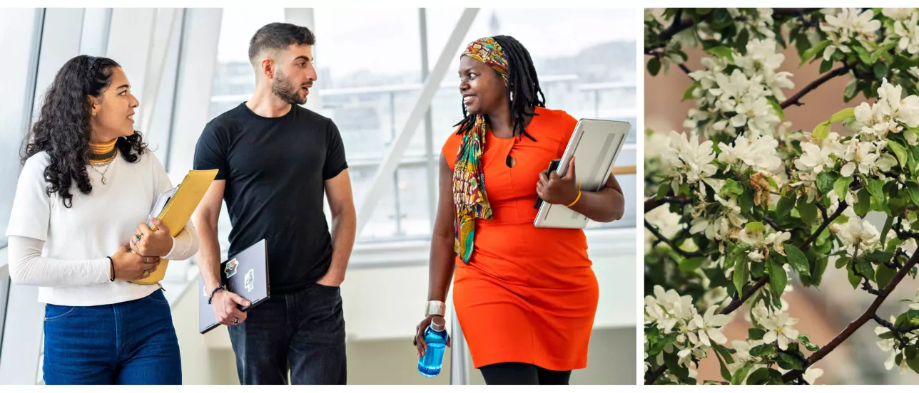 A collage of three students looking talking and a picture of flowers. Photo.