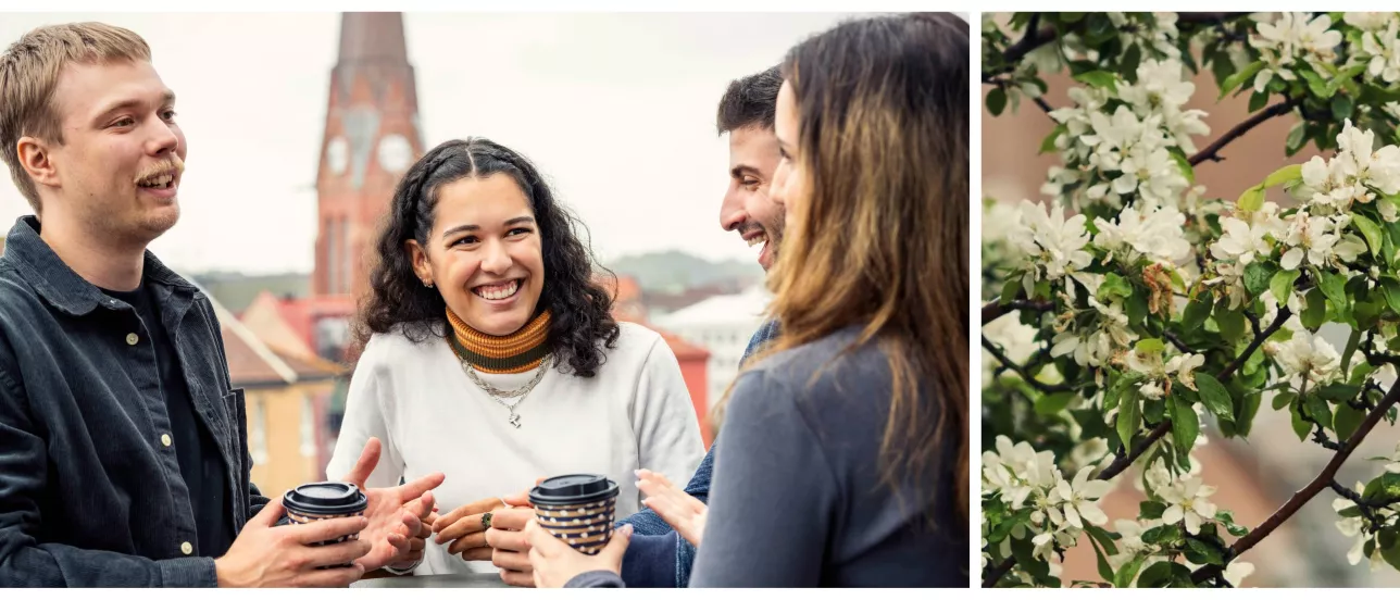 A collage of three students talking and a picture of flowers. Photo.