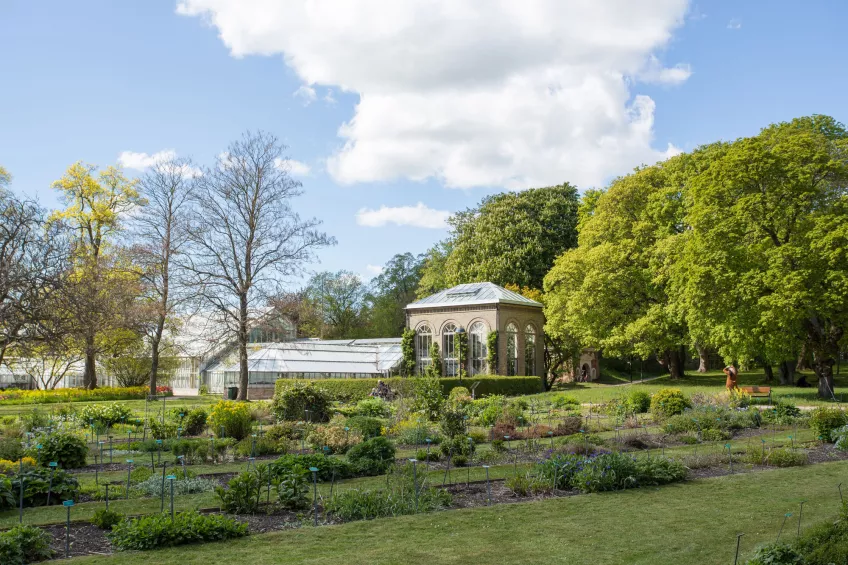 Flower beds in the botanical garden in summertime