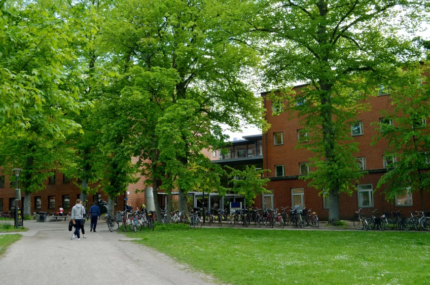 The Centre for Languages and Literature surrounded by leafy green trees