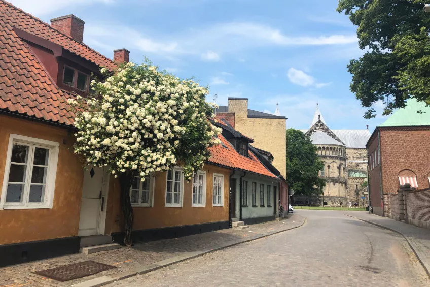 The colourful street leading up to the backside of the cathedral with roses and a blue sky