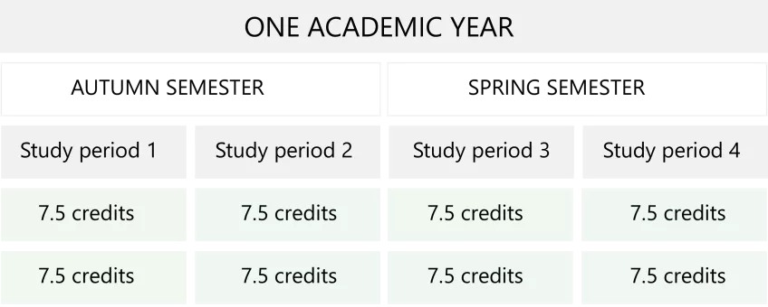 Example of a study plan. Illustration.