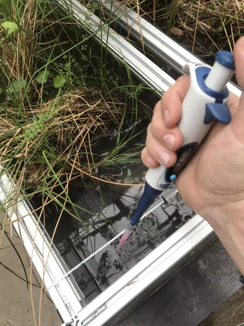 Container with artificial wetlands