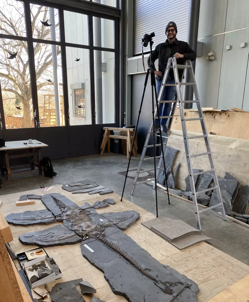 Miguel Marx (lead author) photographing the skeleton at the Urwelt-Museum Hauff in Holzmaden, Germany.